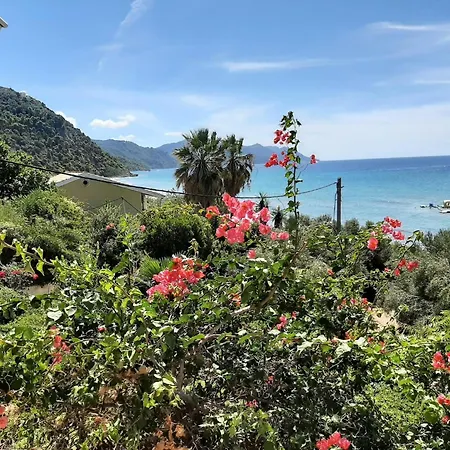 Appealing In With Pool * Benitses (Corfu)