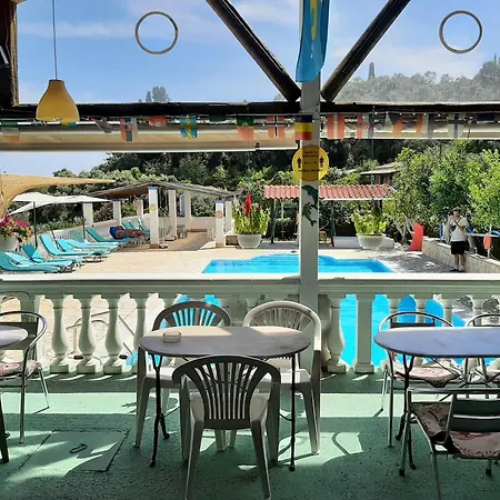 Appealing In With Pool
