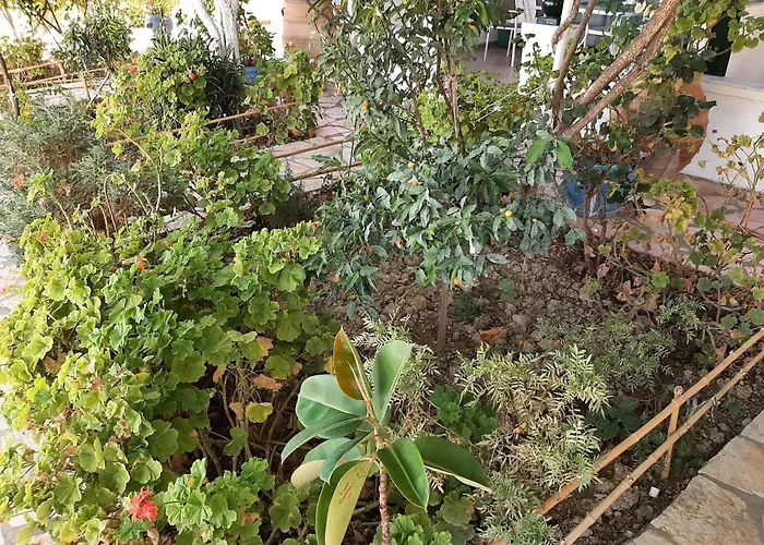 Apartmán Appealing In With Pool