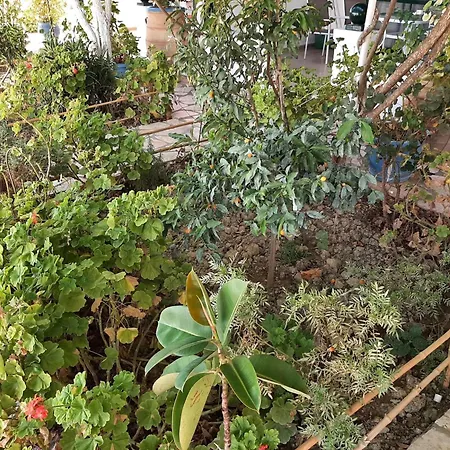 Διαμέρισμα Appealing In With Pool